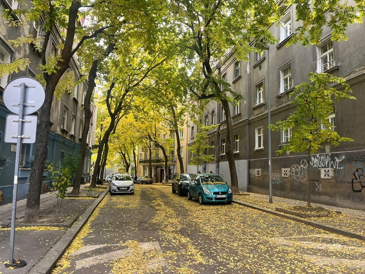 Predám 2i byt v Starom meste - 2