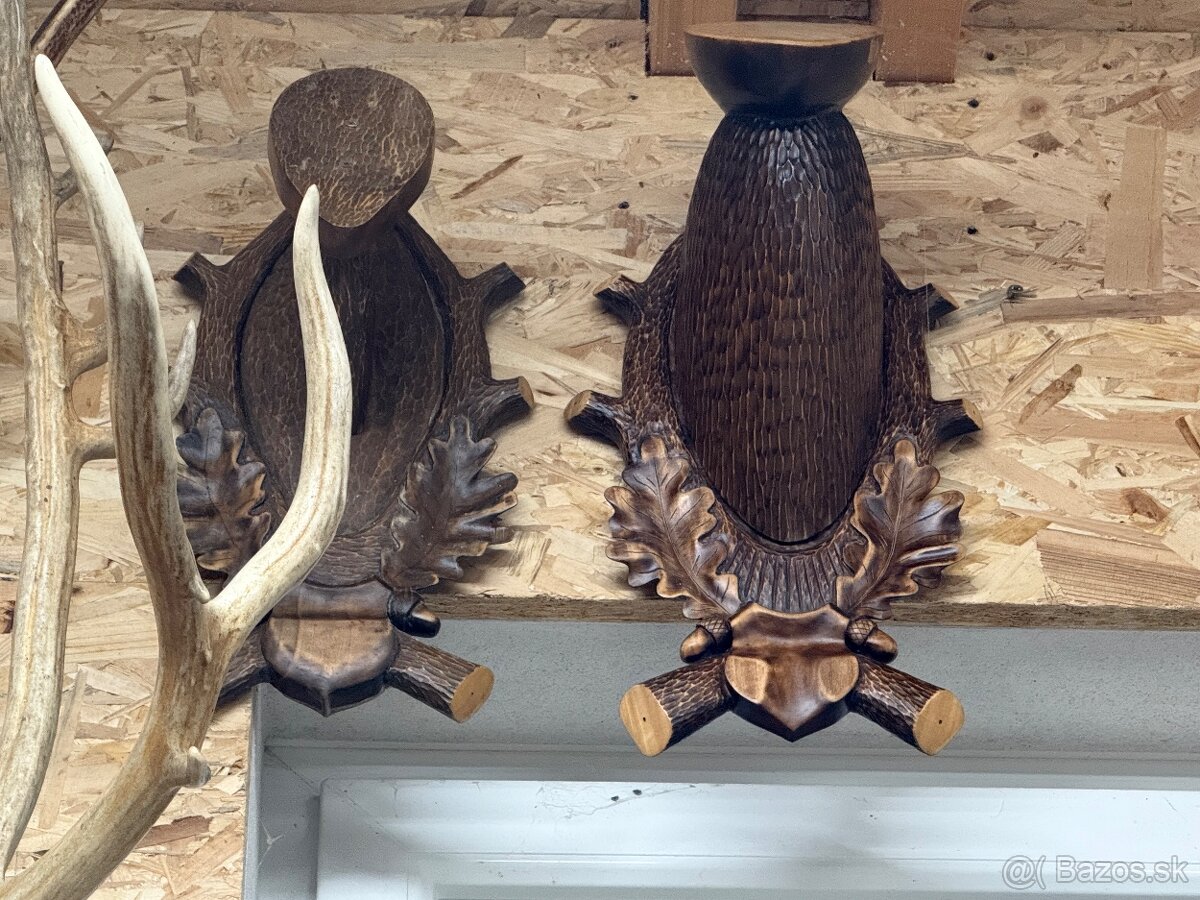 Trofej,parohy,parozie,muflon - 2