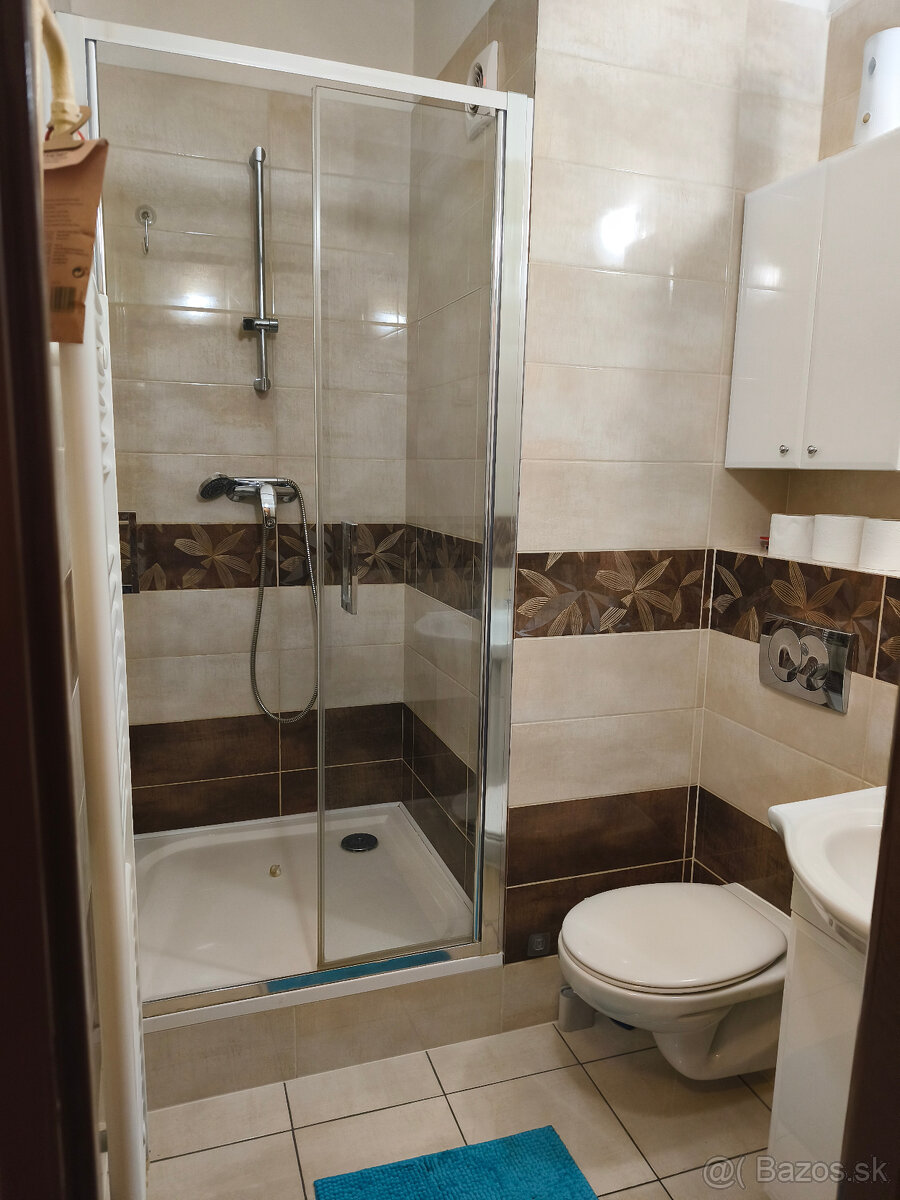 Priestranný 1-izbový byt v tehlovej bytovom dome - 2