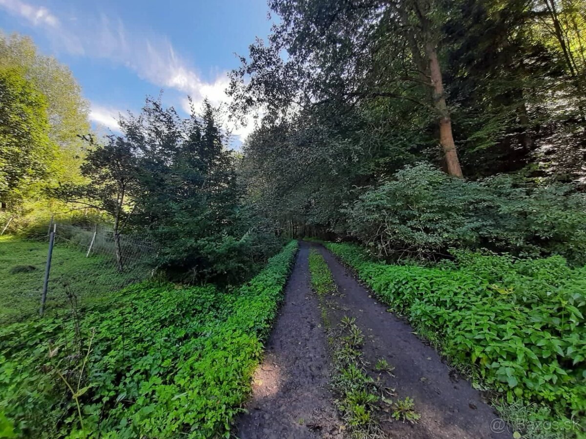 Predám pozemok pri lese Banská Hodruša - 2