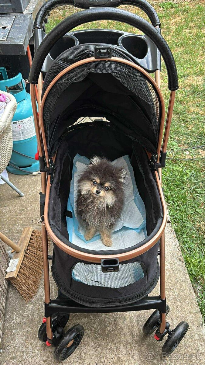 Kočík pre psíka - 2