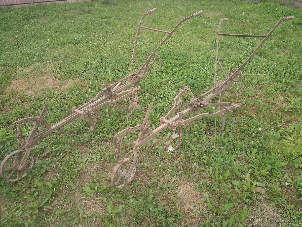 Ohrňováky, zemiaky, šintáre - 2