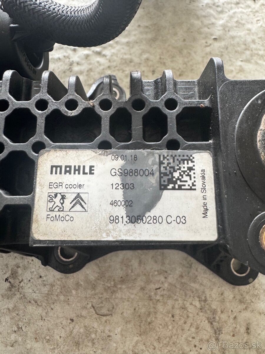 EGR PSA GS988004 9813050280 - 2