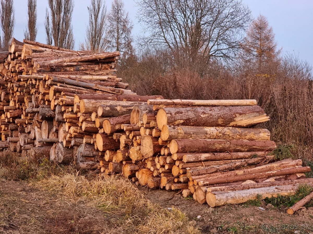 Palivové drevo, odrezky - 2