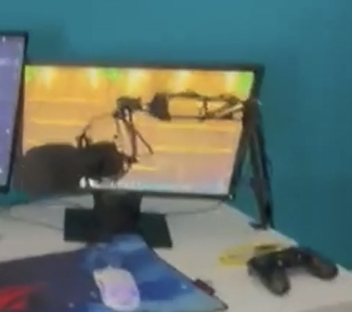 Mikrofón Mikrofón Connect IT ProMic - 2