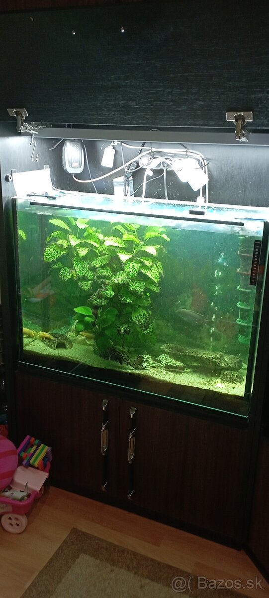 Predám akvarium - 2