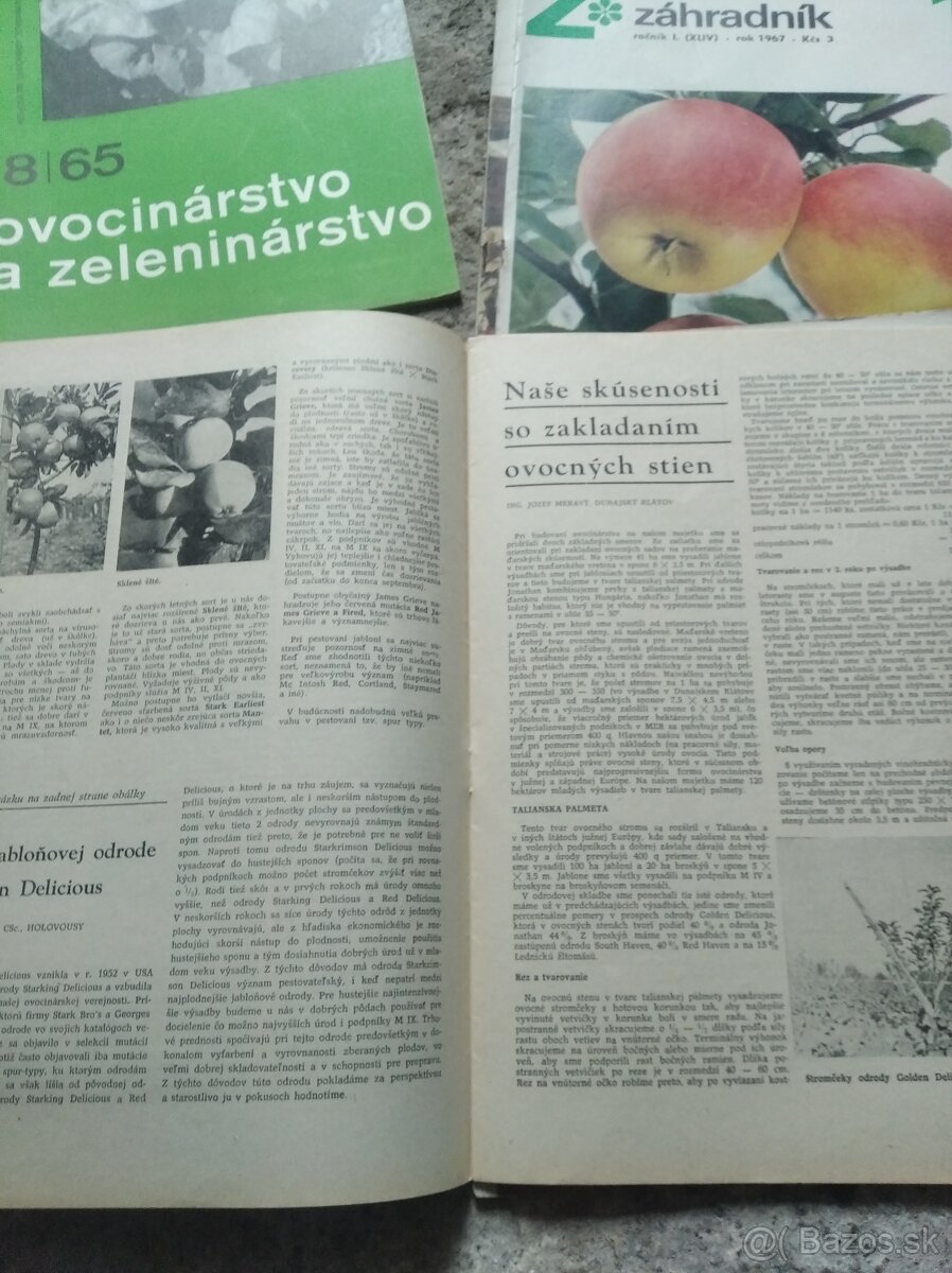Časopis ovocinár - 2