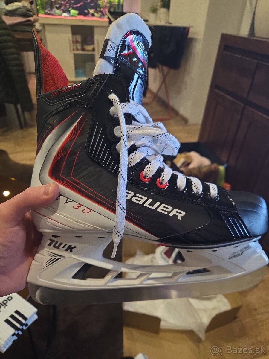 Bauer - 2