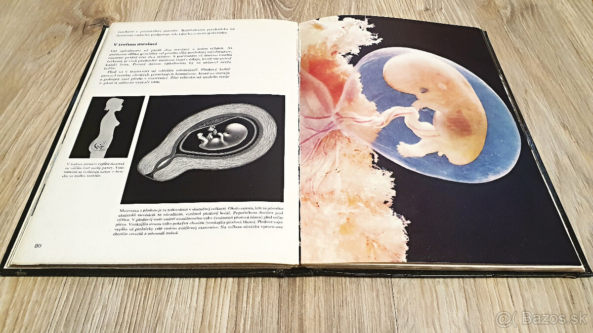 Čakáme dieťatko - 2