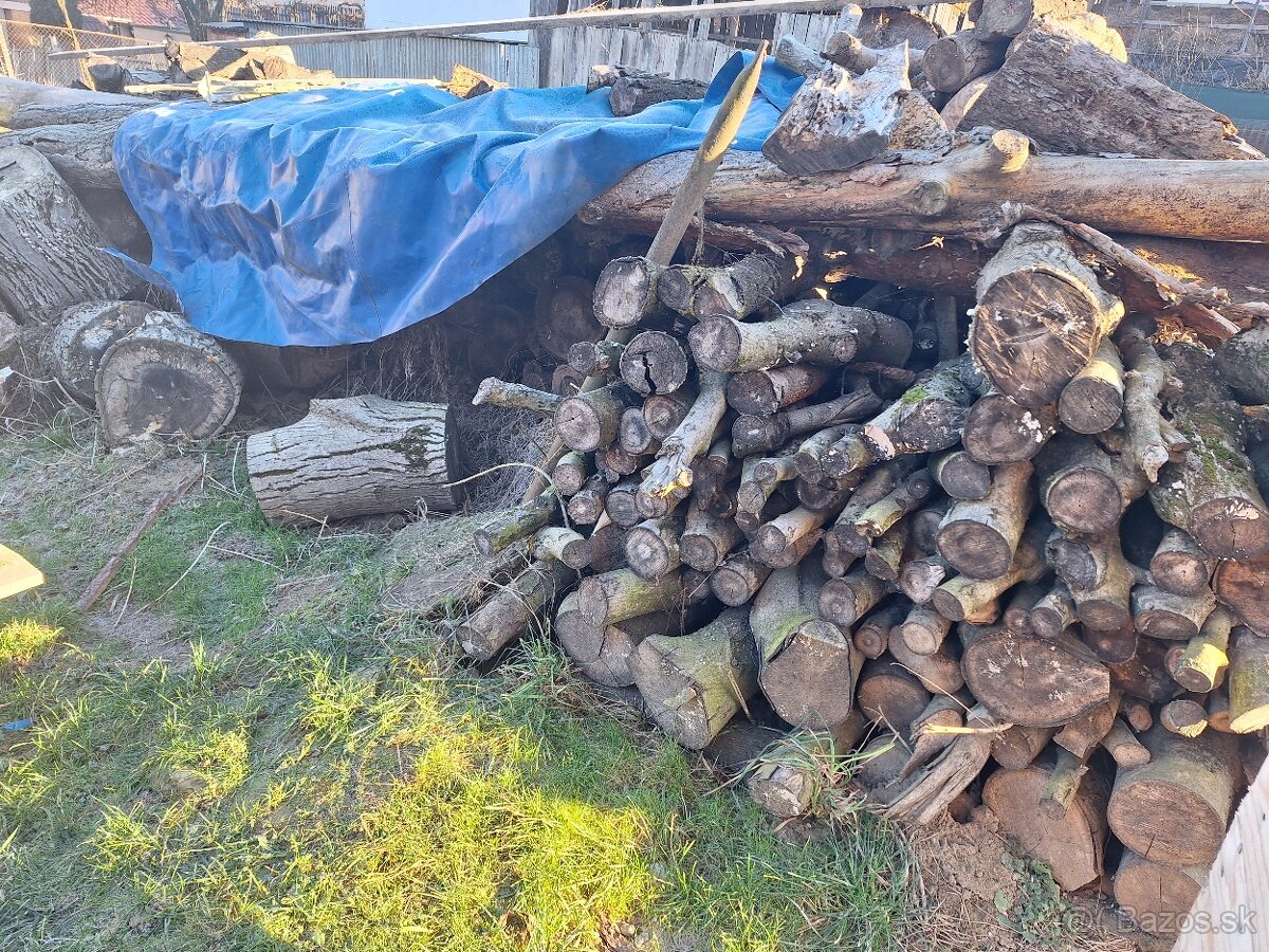 Predám suché palivové drevo - 2