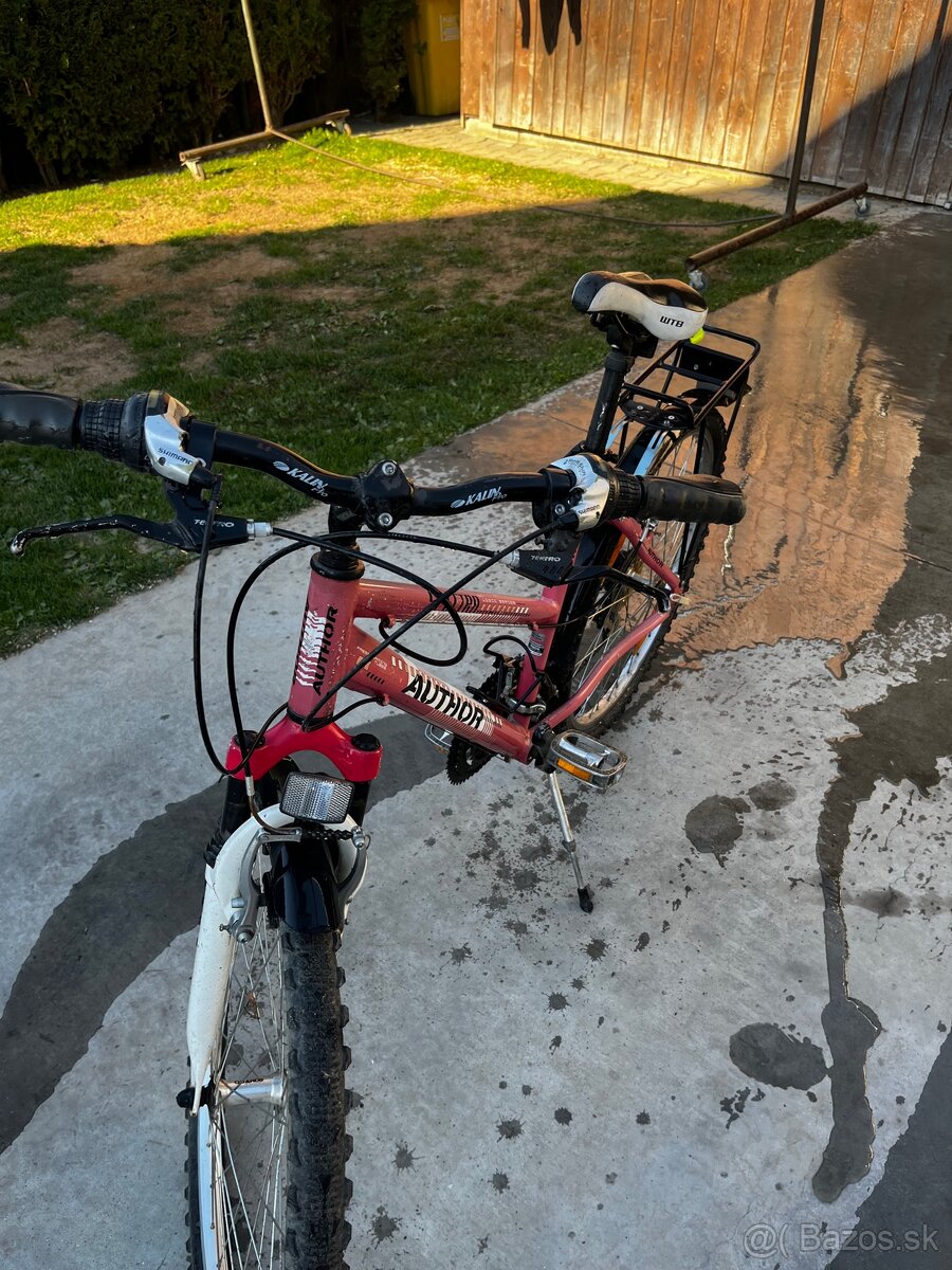 Dámsky bicykel - 2