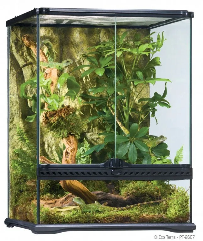 predám 2x rastlinné terarium - 2