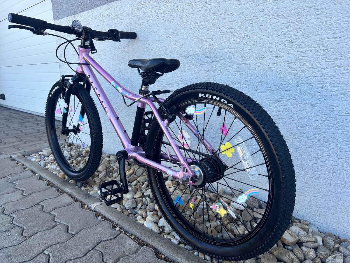 Detsky bicykel RASCAL 20 - 2