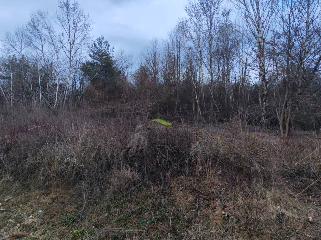 Pozemok snov pri vodnej ploche Domaša – Holčíkovce, Eva - 2