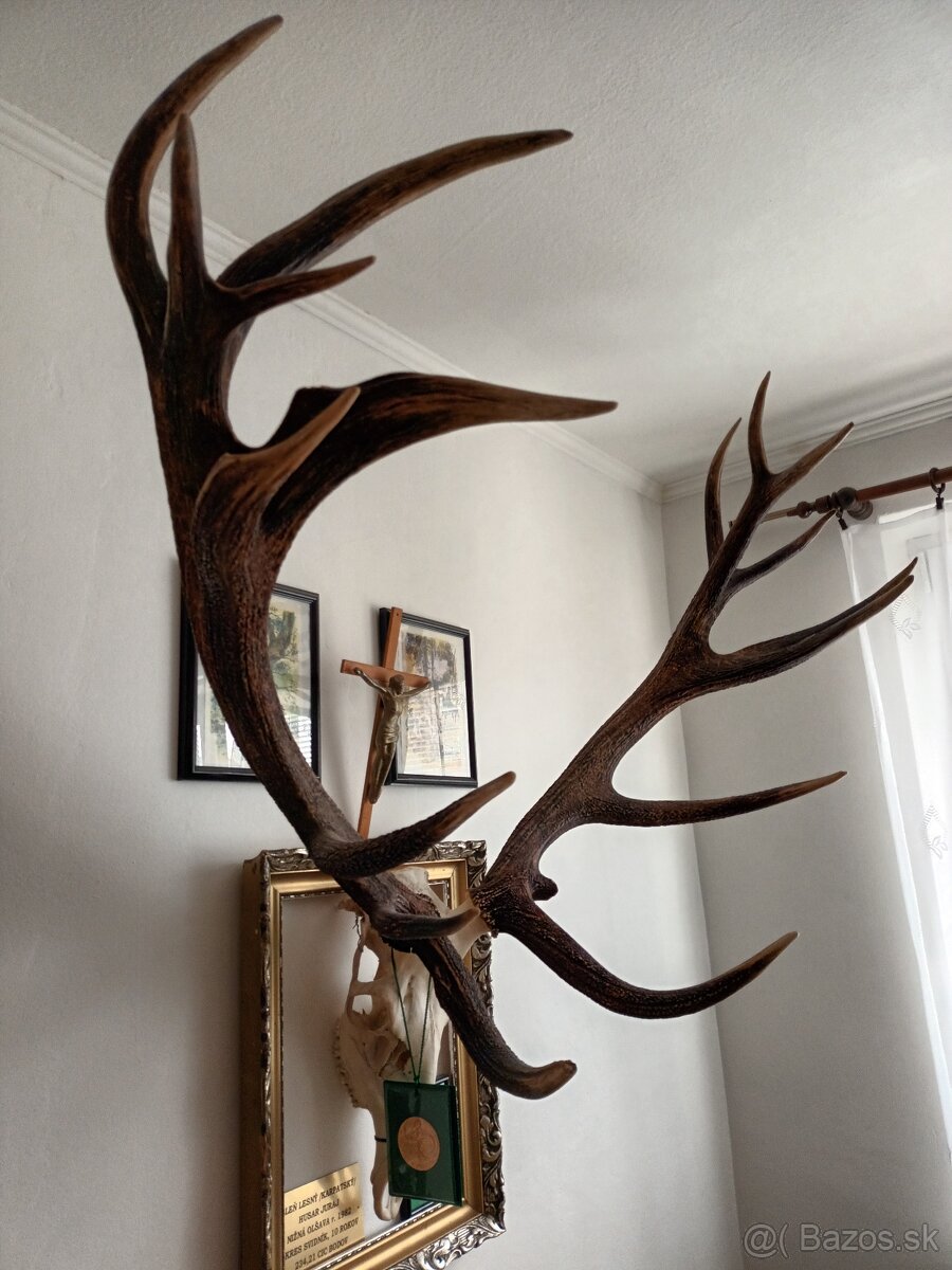 Trofej Karpatského Jelena - 2