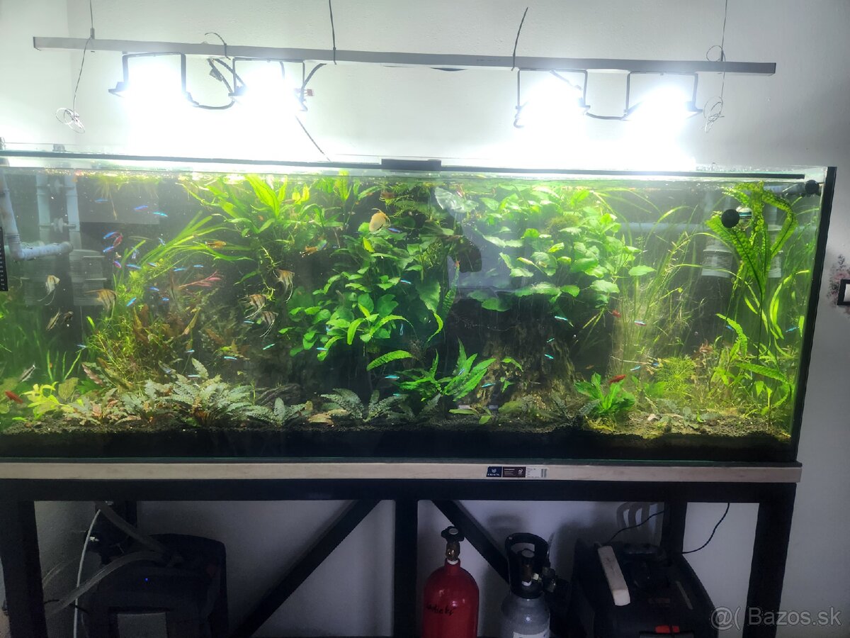 predám akvárium - 2