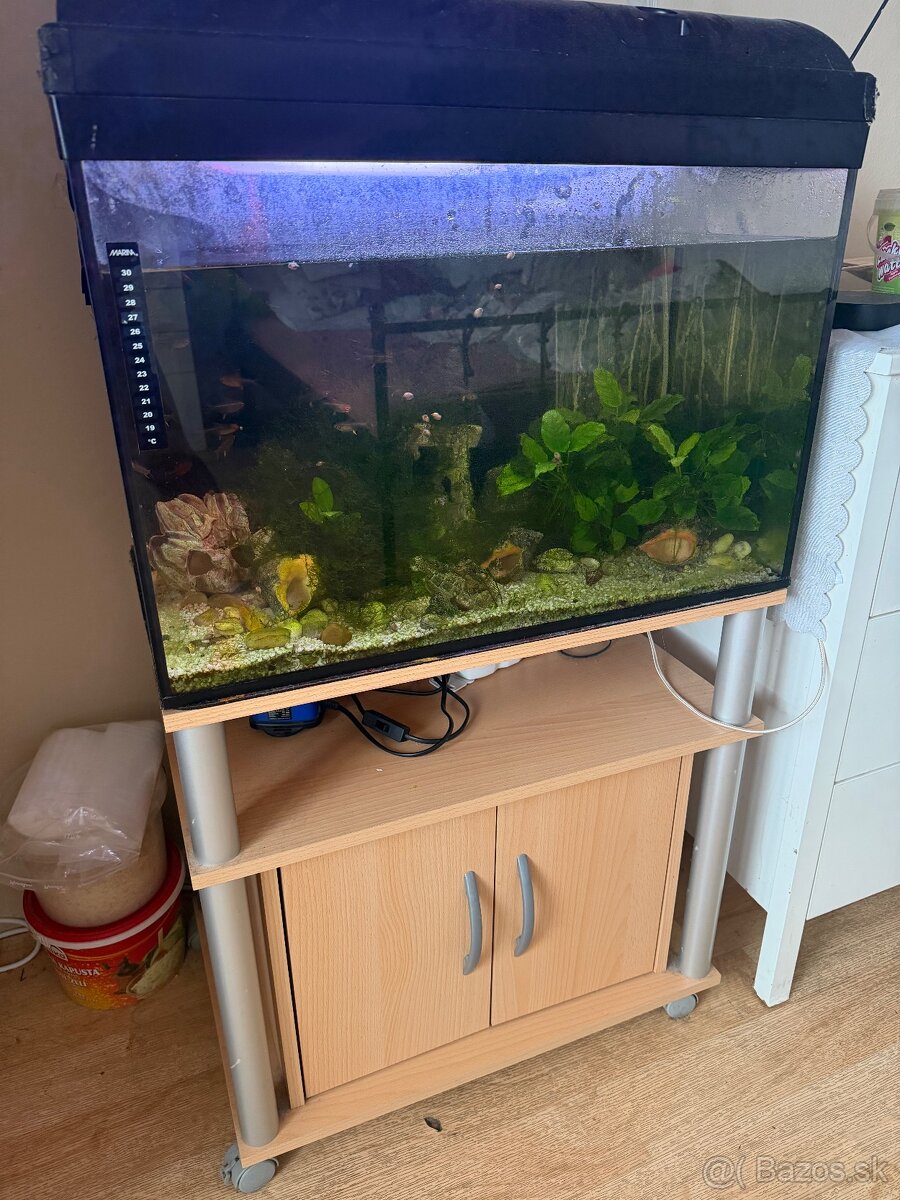 Akvariúm - 2