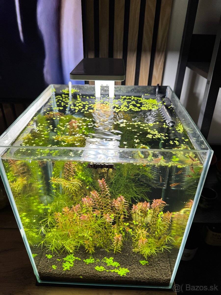 Aquael 30l nano akvarium - 2