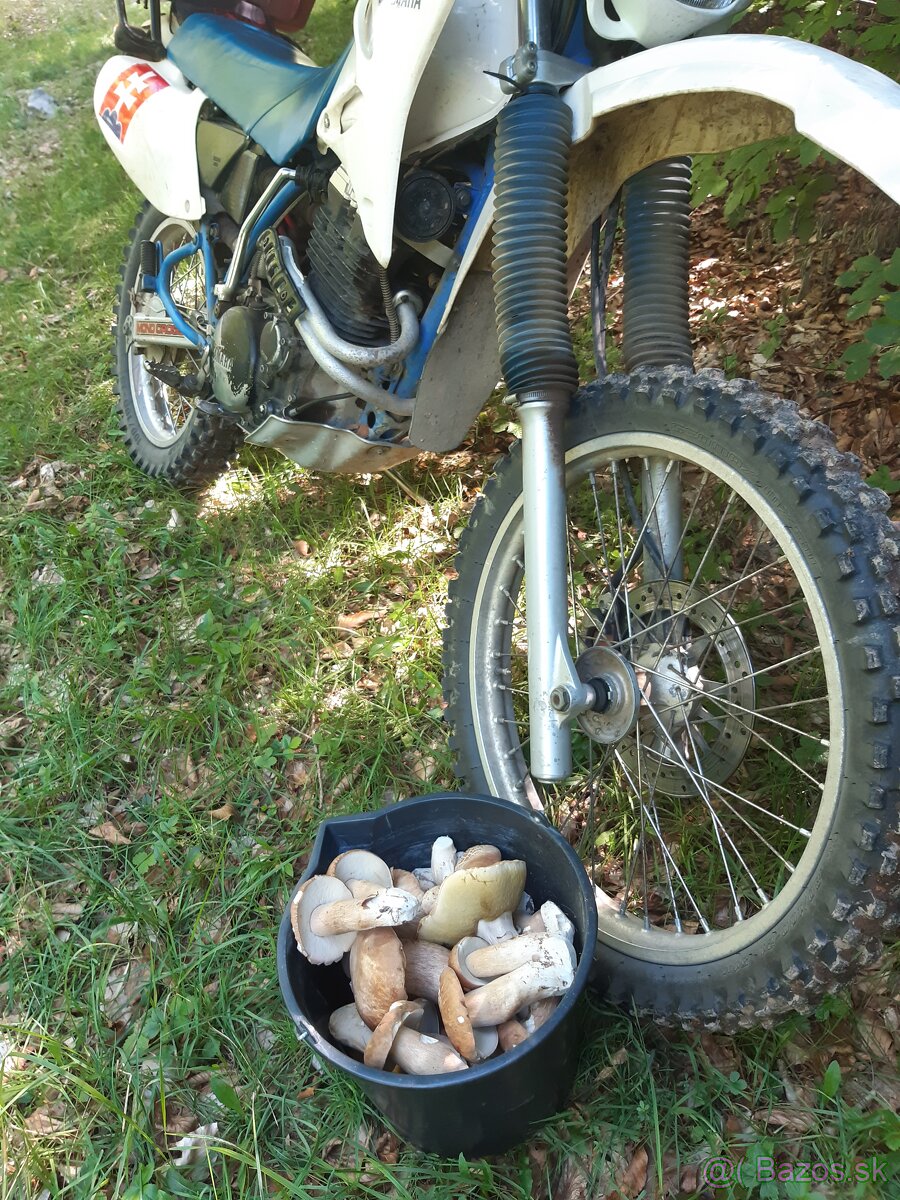 Yamaha 350 xt