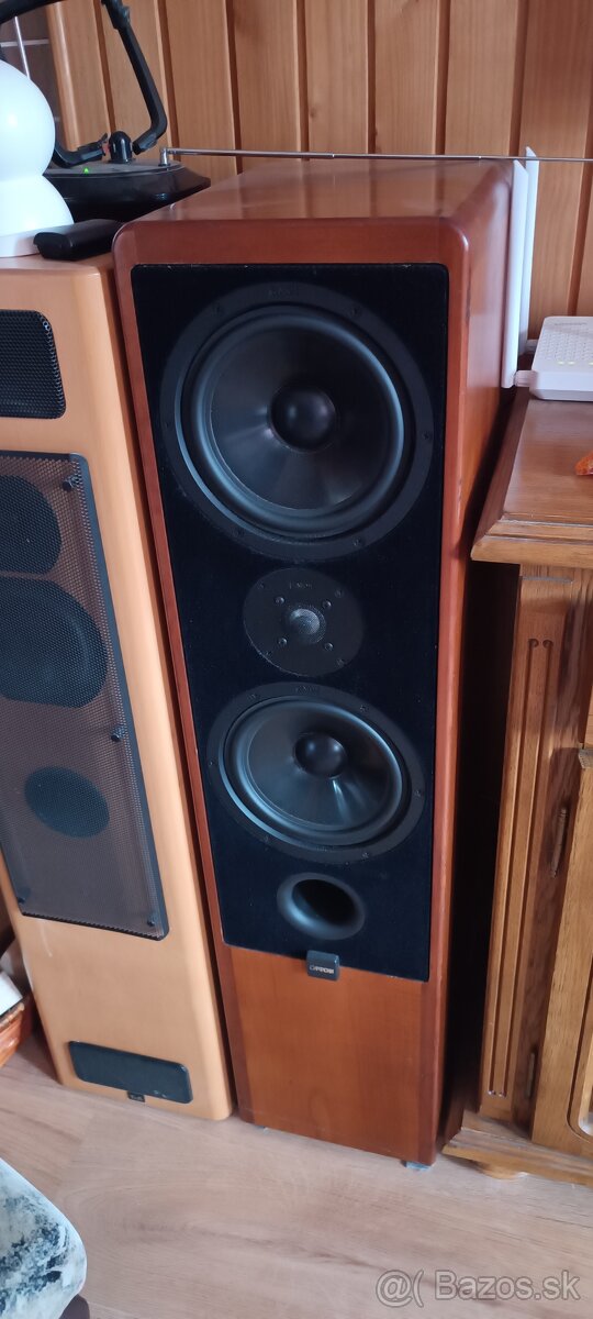 Canton ergo 81dc - 2