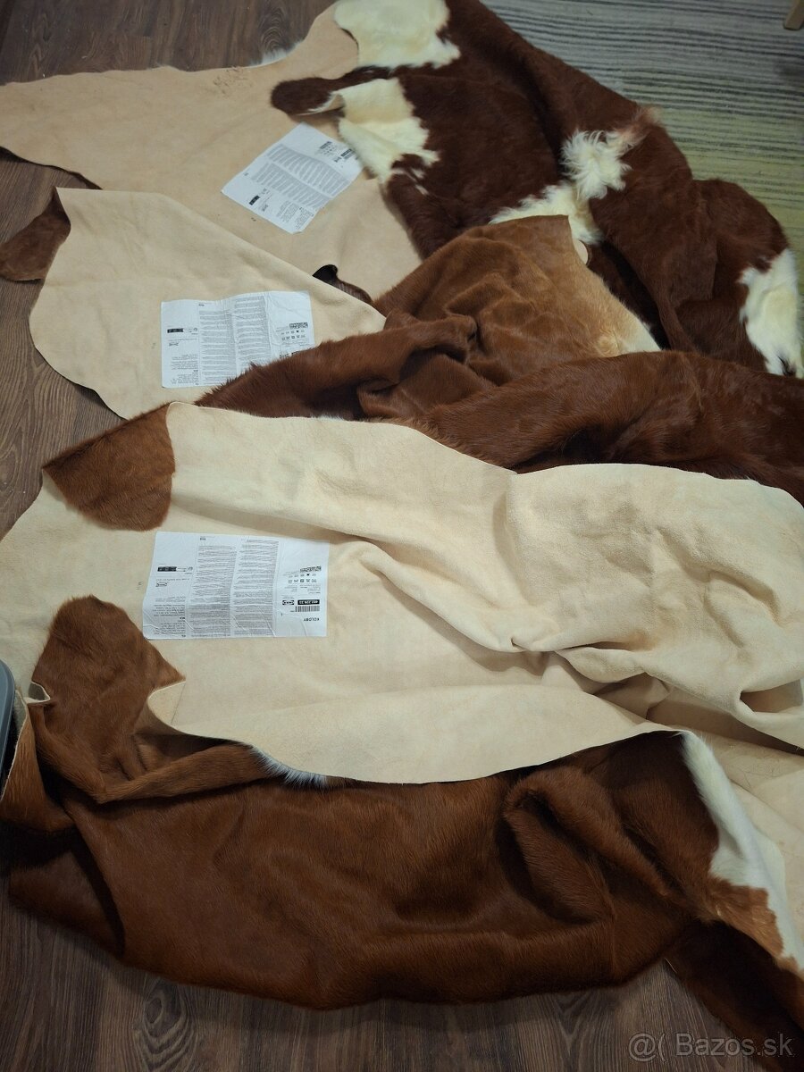 Predam kravskú kožu - 2