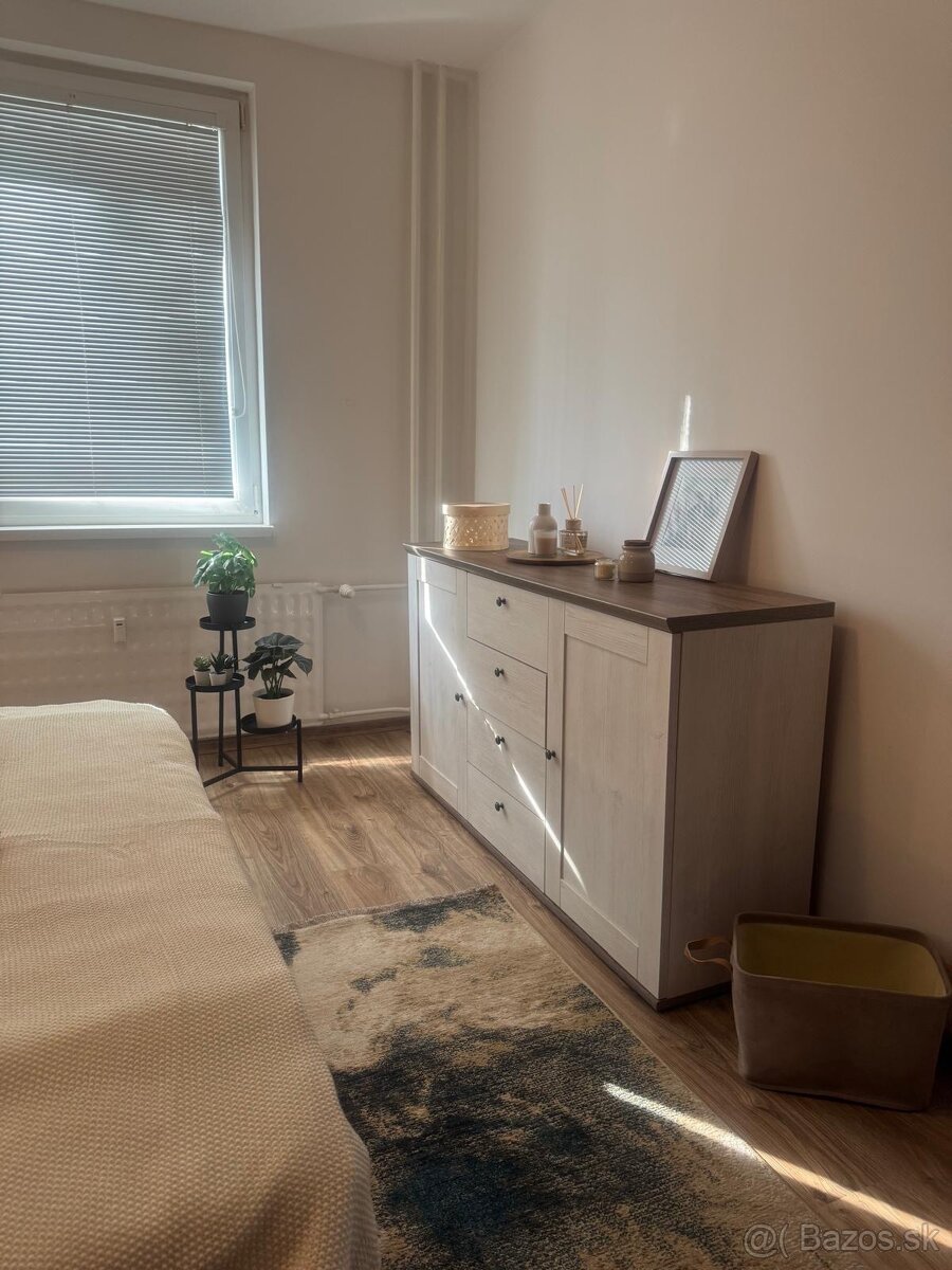 Prenajmem 1izbovy byt v Šuranoch - 2