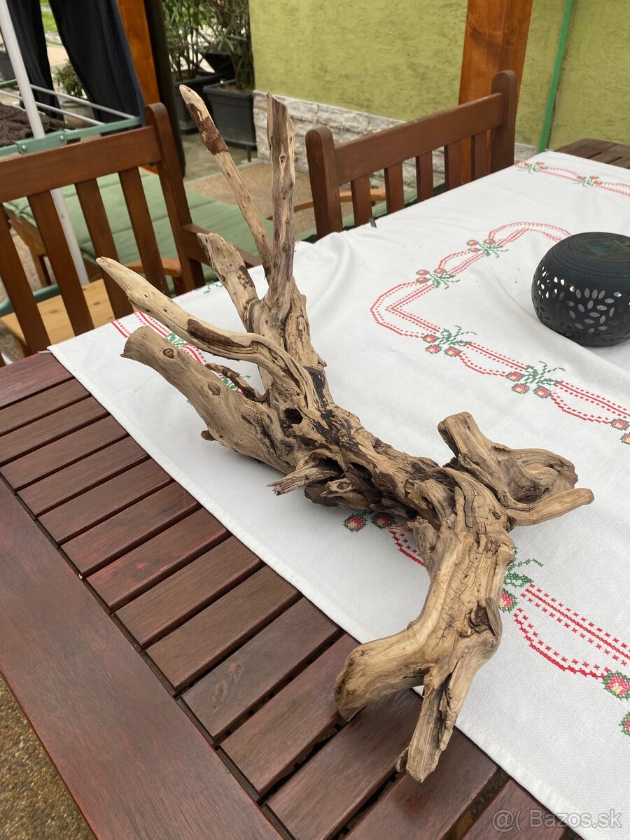 Korene do akvaria - 2