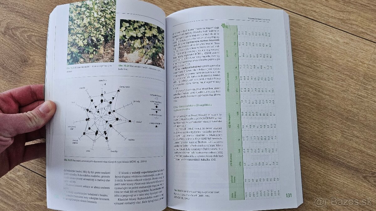 Pěstování révy vinné - 2