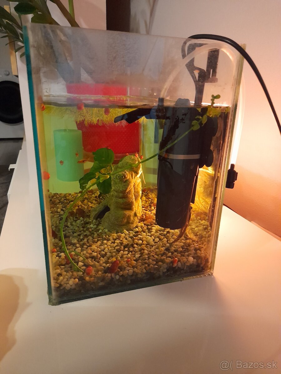 Akvárium s príslušenstvom - 2