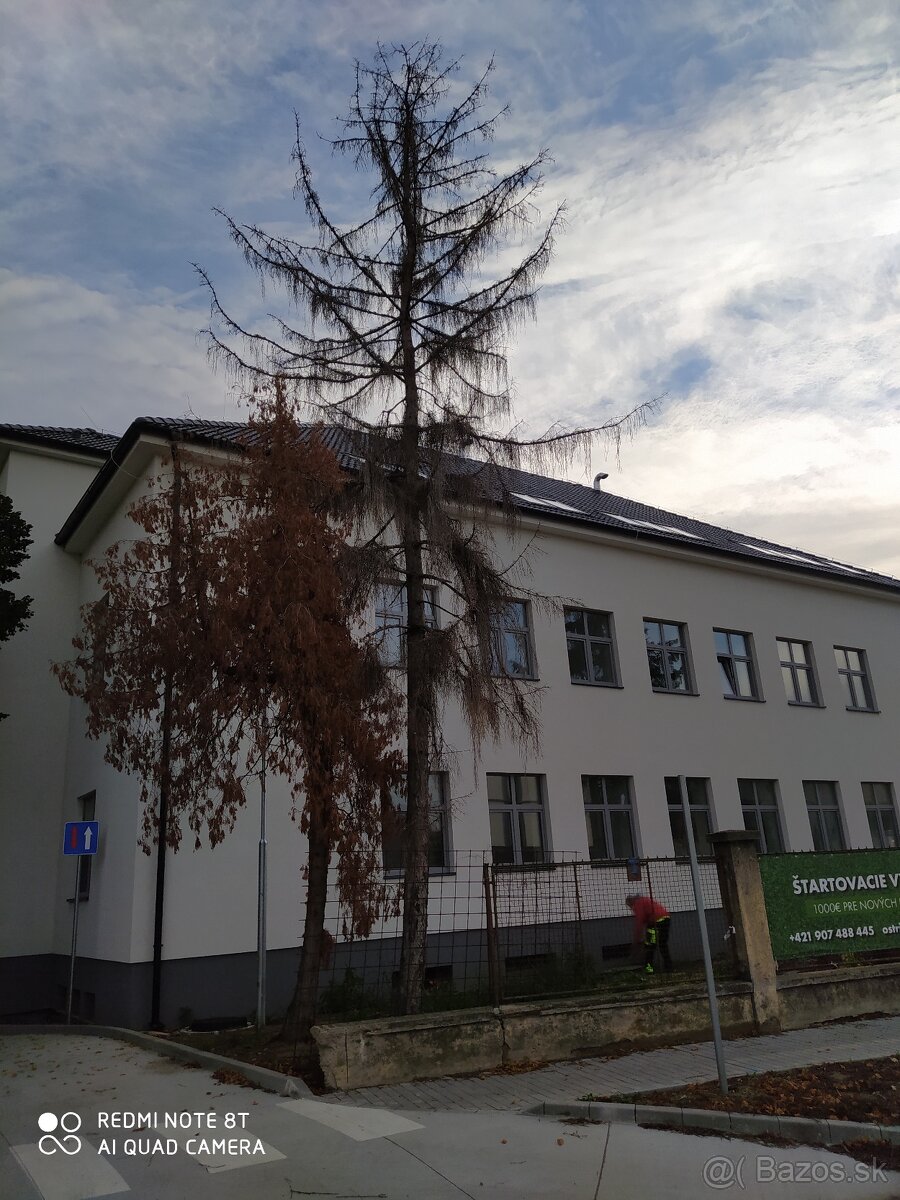 Výrub pílenie stromov - 2