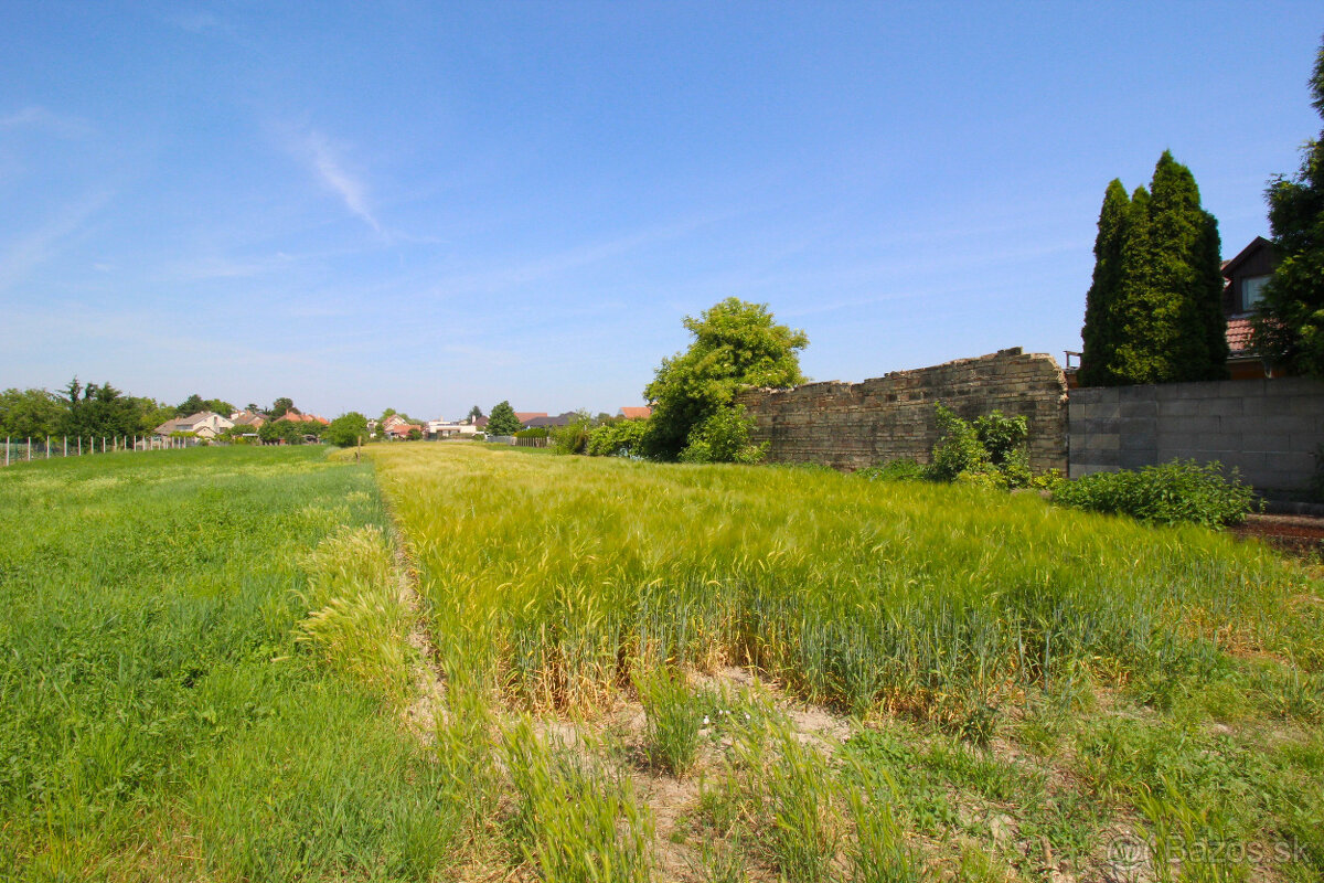 Predaj pozemok Trstice - 2