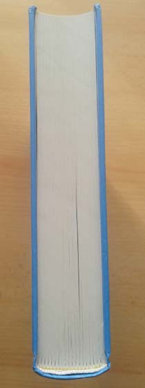 Jagr & Kladno hokejove - 2