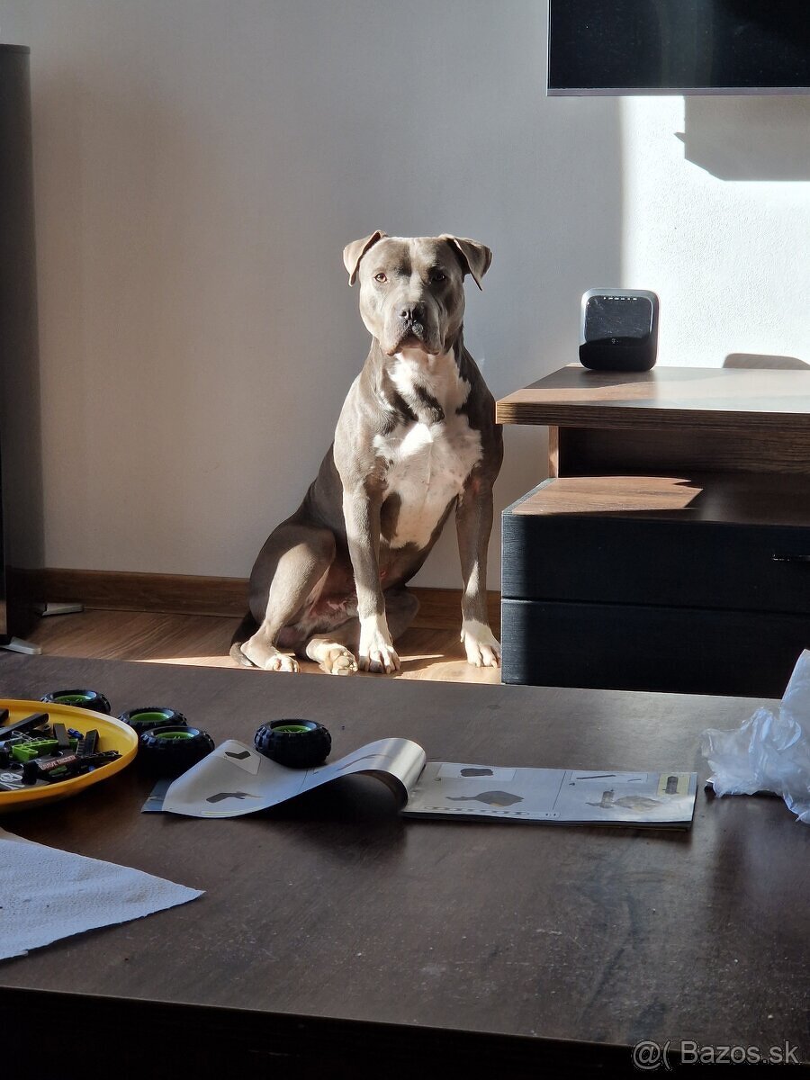 Posuniem do dobrých rúk staforda - 2