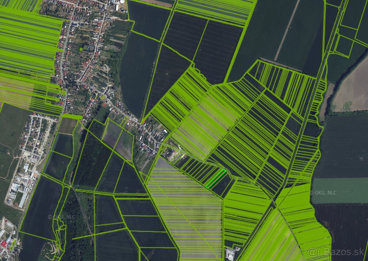Investičný pozemok 4089 m2 Dubovany - 2