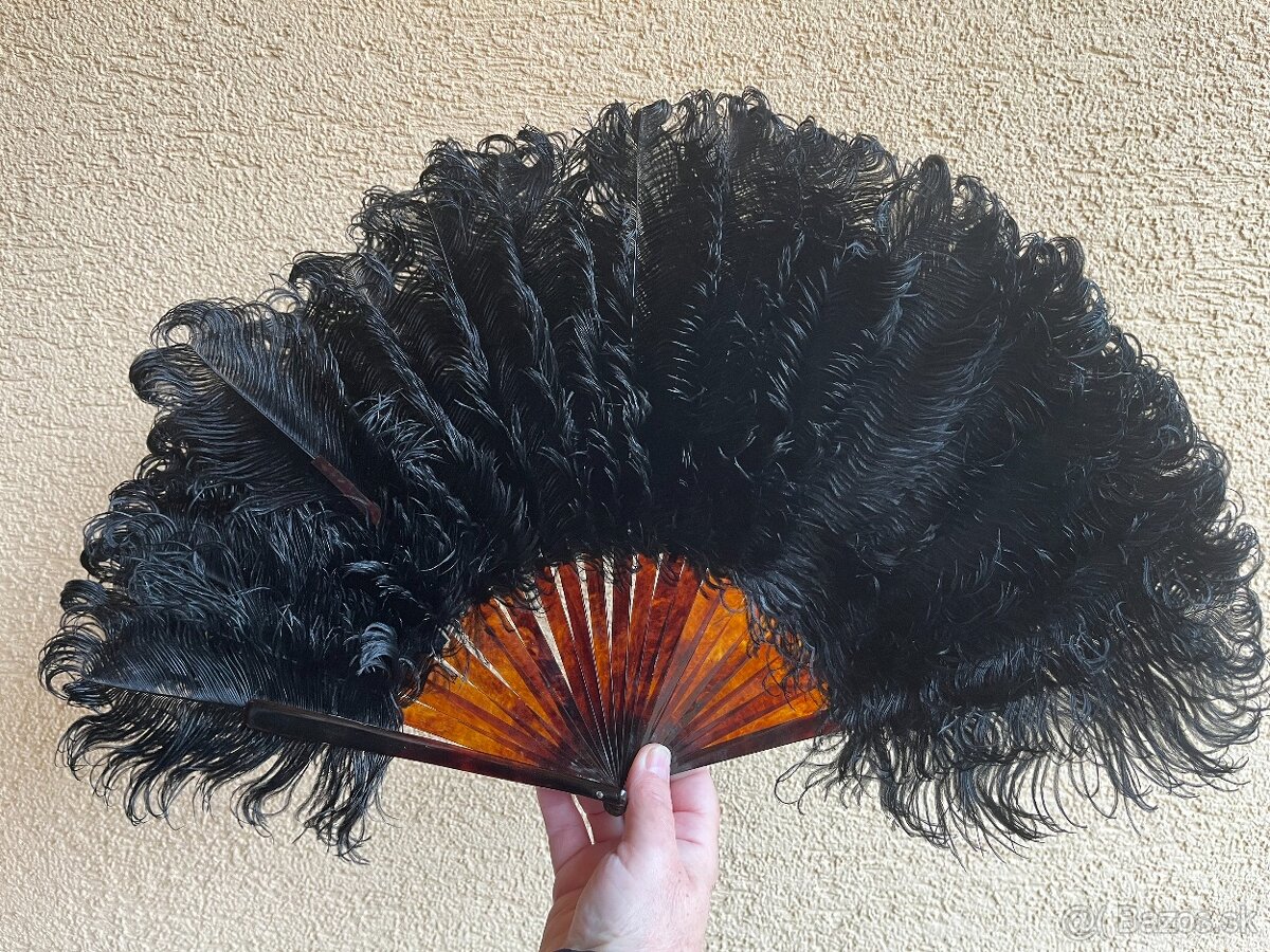 Vejár zo pštrosieho peria - 2