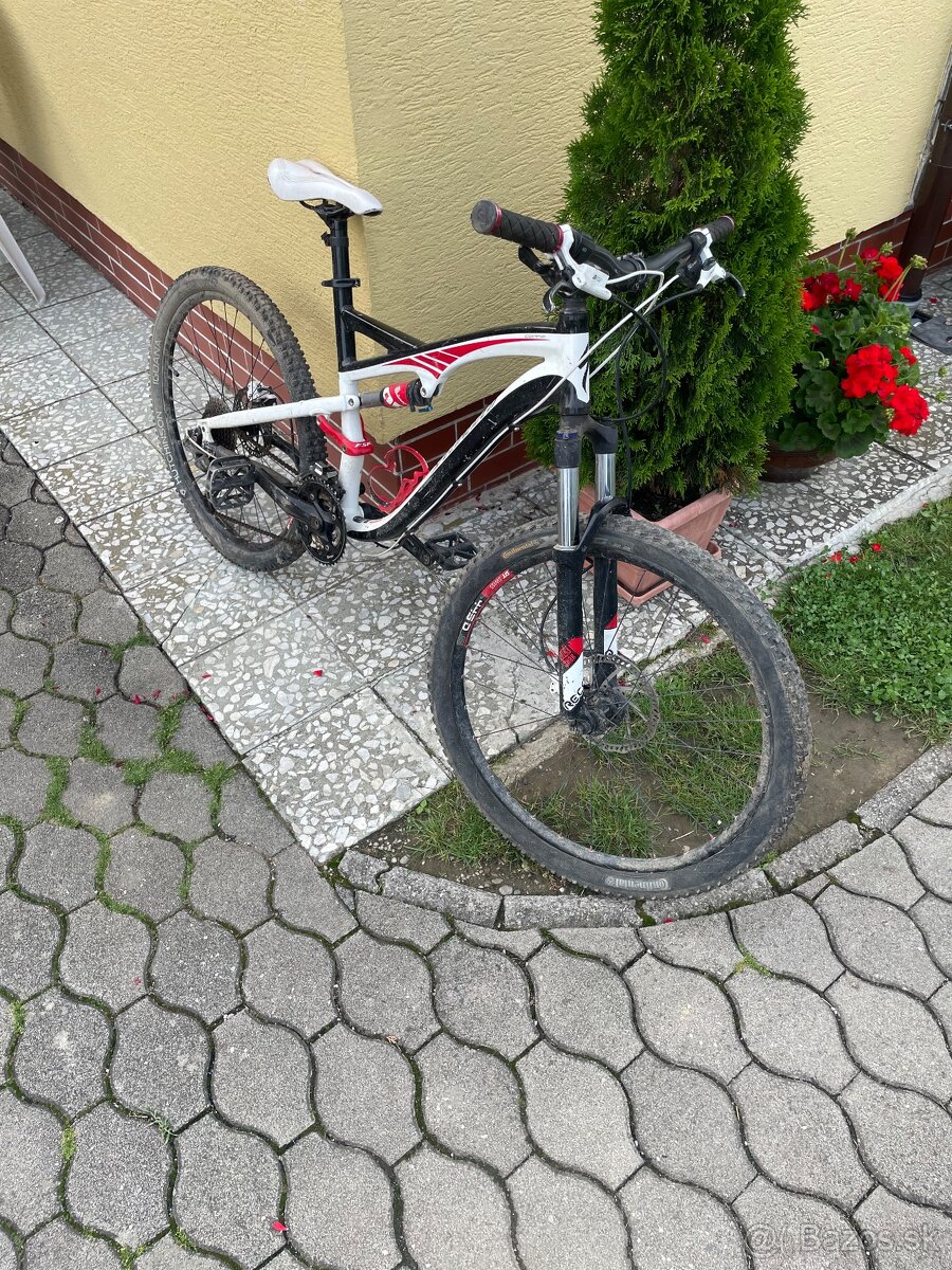 Specialized - 2