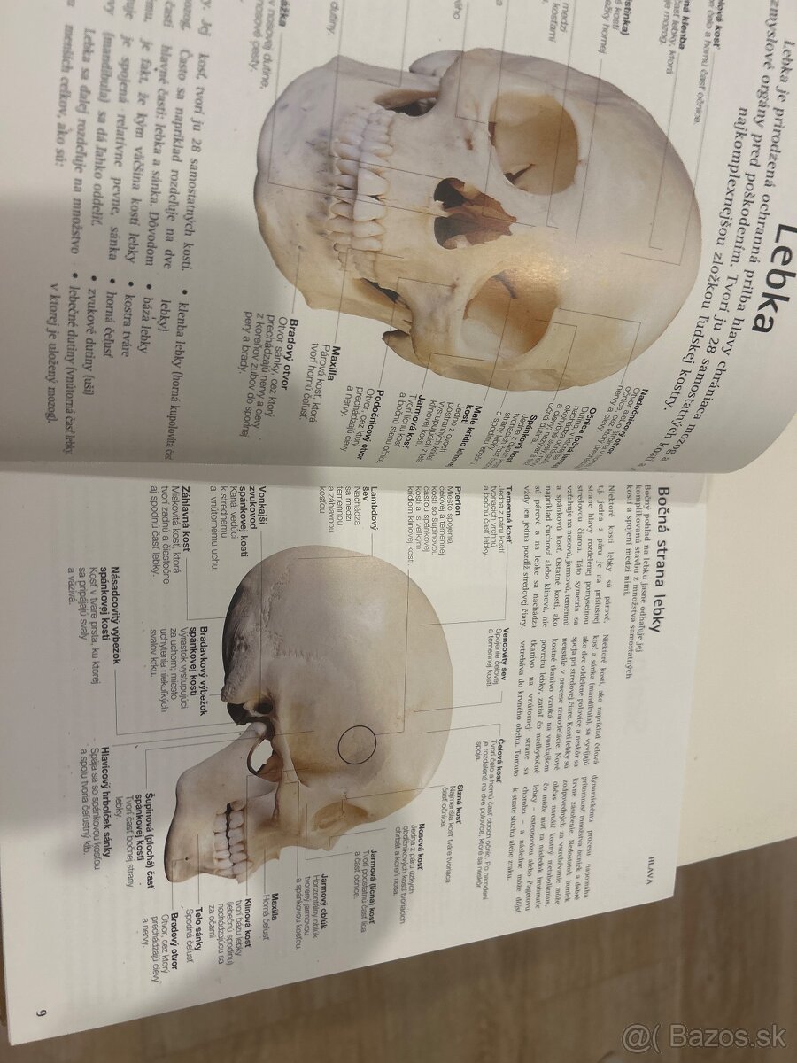 Predam knihu Atlas ľudského tela - 2