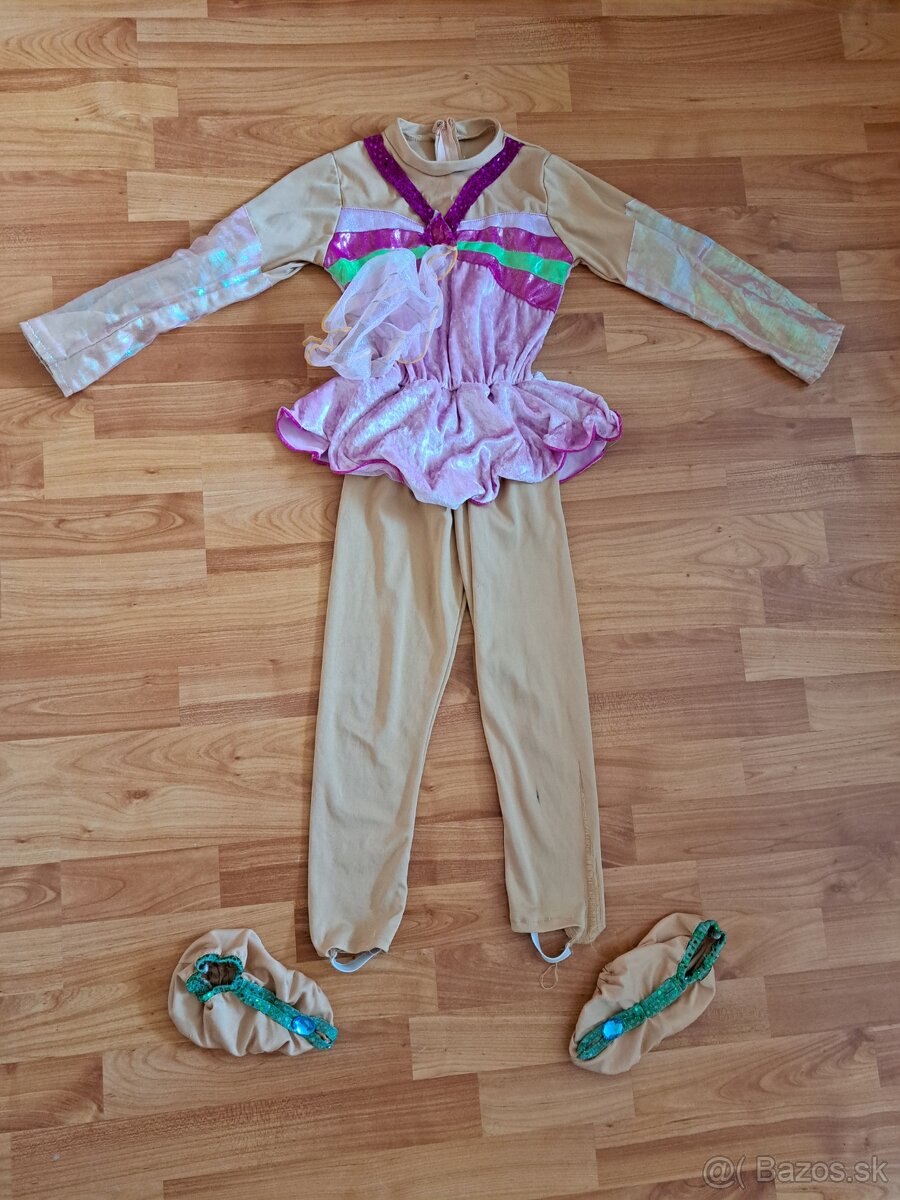 Karnevalové kostýmy - 2