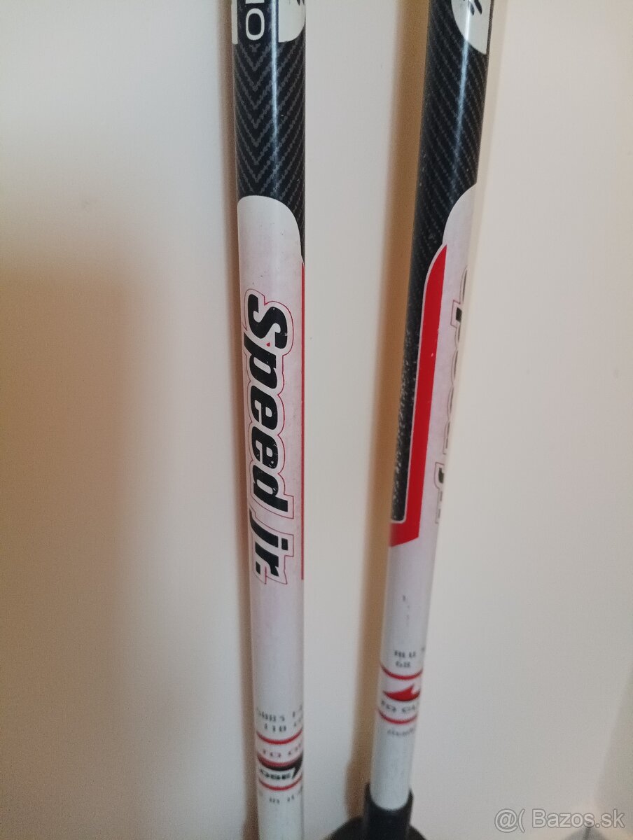 Palice na pohyb v prírode. - 2