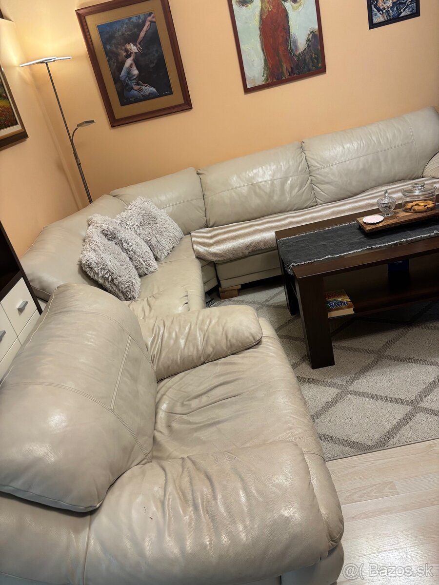 Kožená sedačka - 2