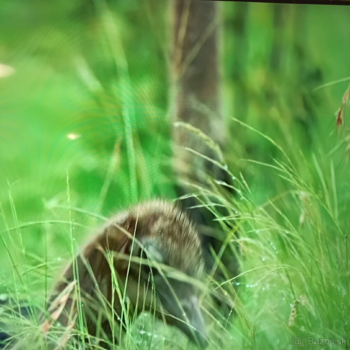 Samsung led tv (165cm)UE65CU7172U - 2