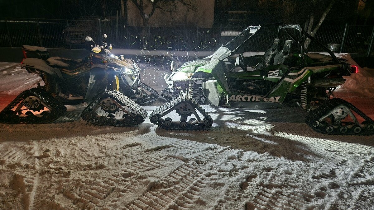 Arctic Cat Wildcat - 2
