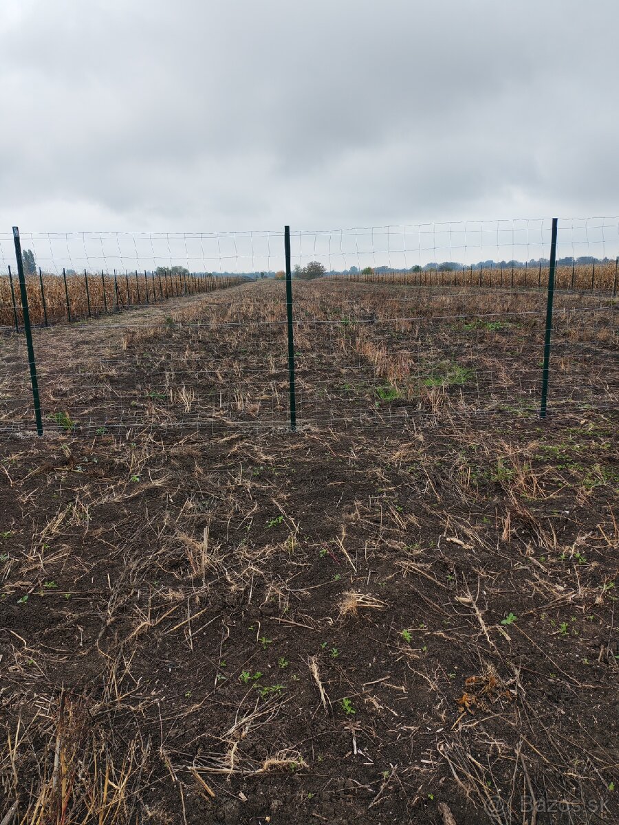 Predaj pozemku v Hurbanove pri hlavnej ceste - 2