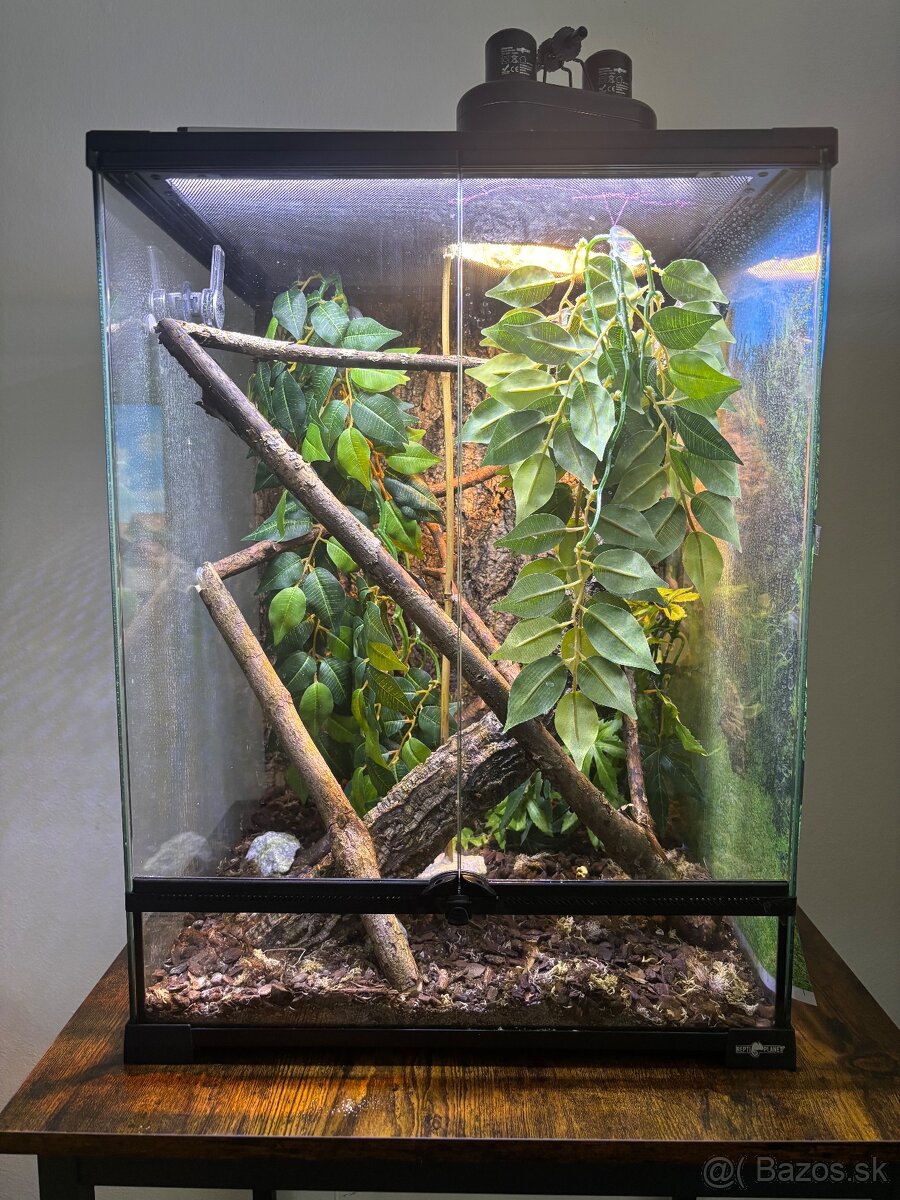 Terárium Repti Planet - 2