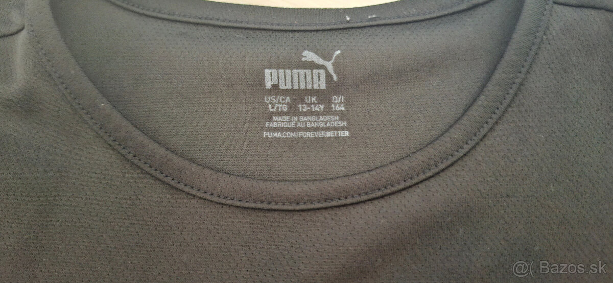 PUMA - 2