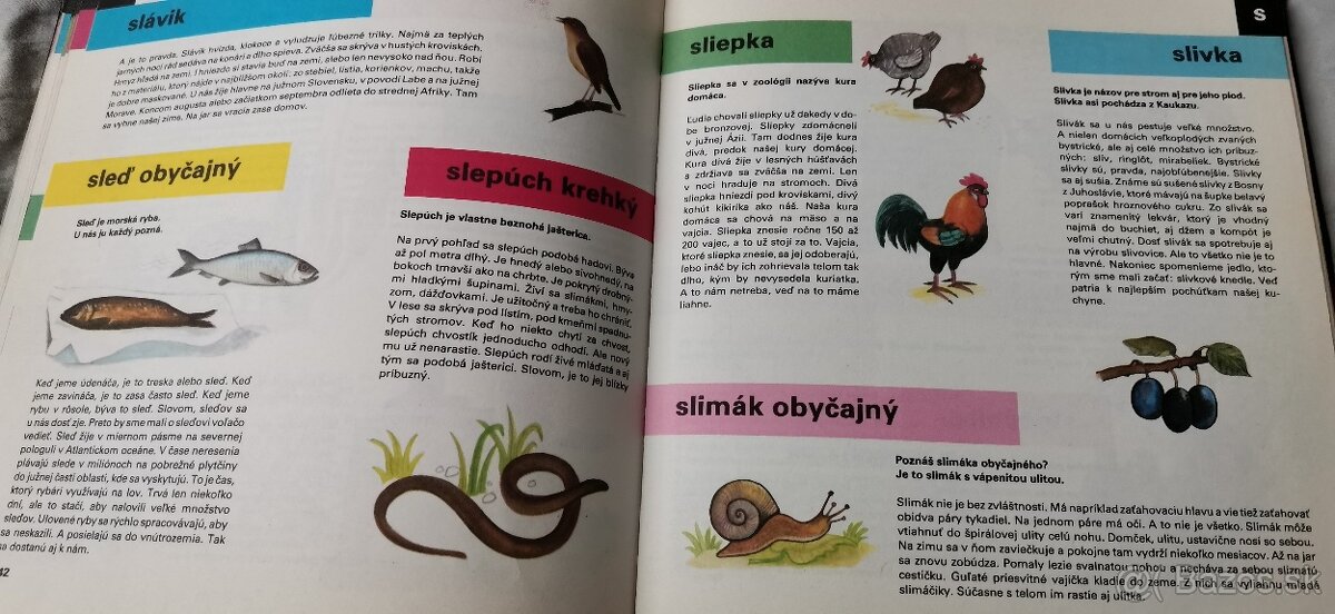 Detská encyklopédia Bohumil Ríha - 2