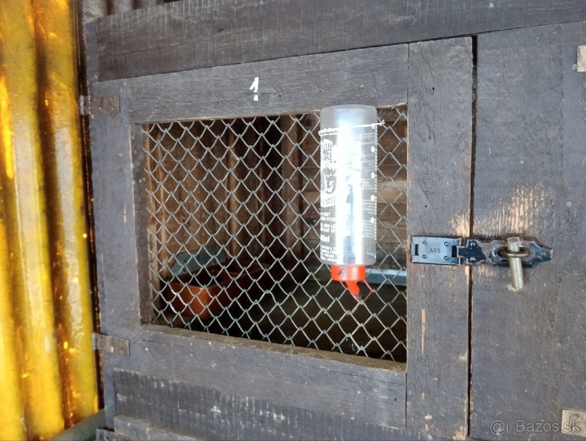 Predám kralikareň - 2