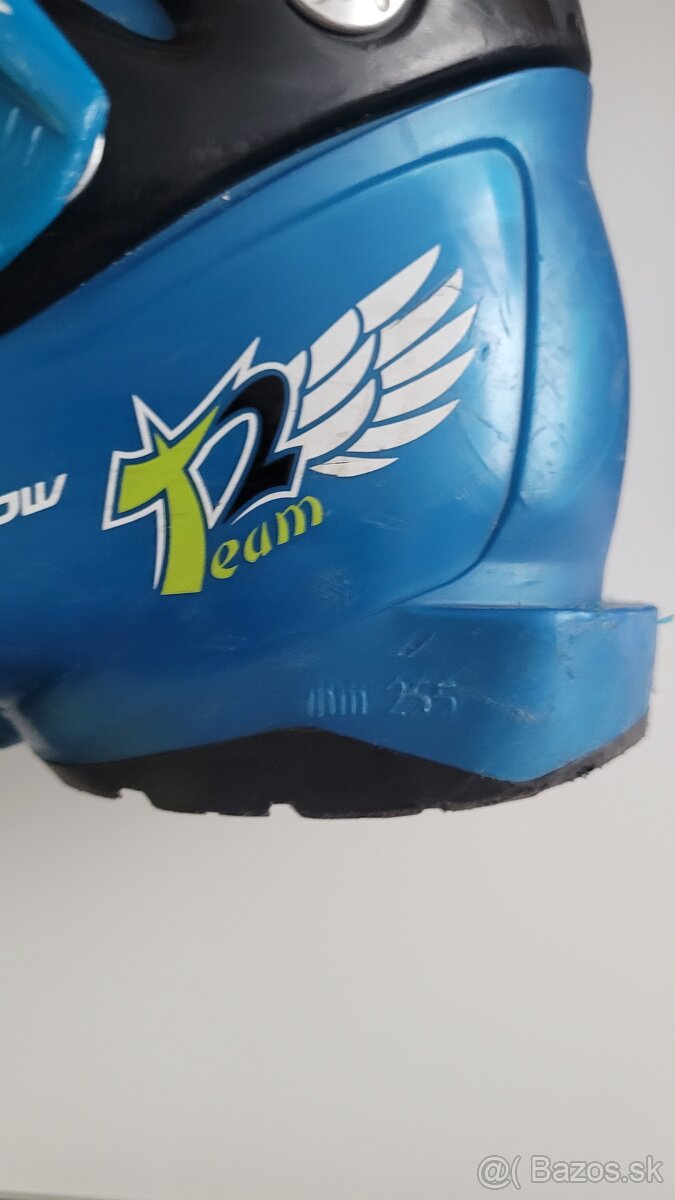 Lyže a lyžiarky - 2