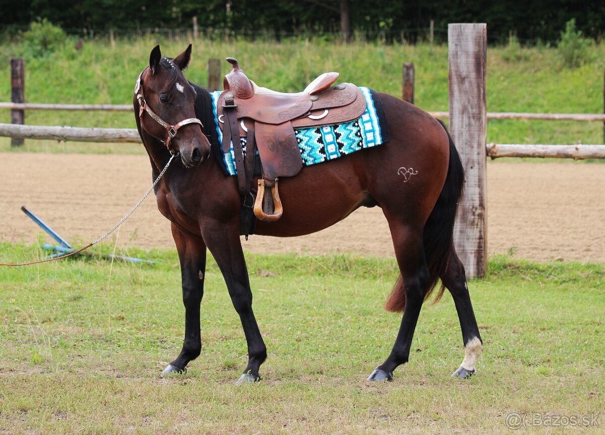 Na prodej: BR Electric Spook - 2