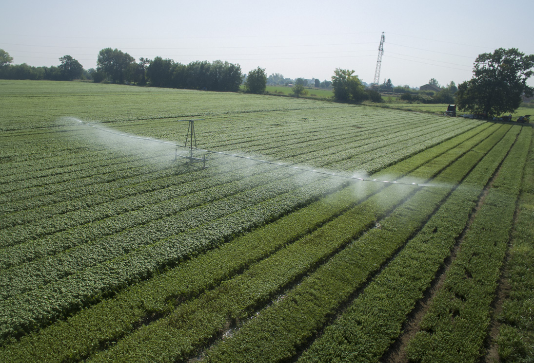 Zavlažovacia konzola RM Boom - 2